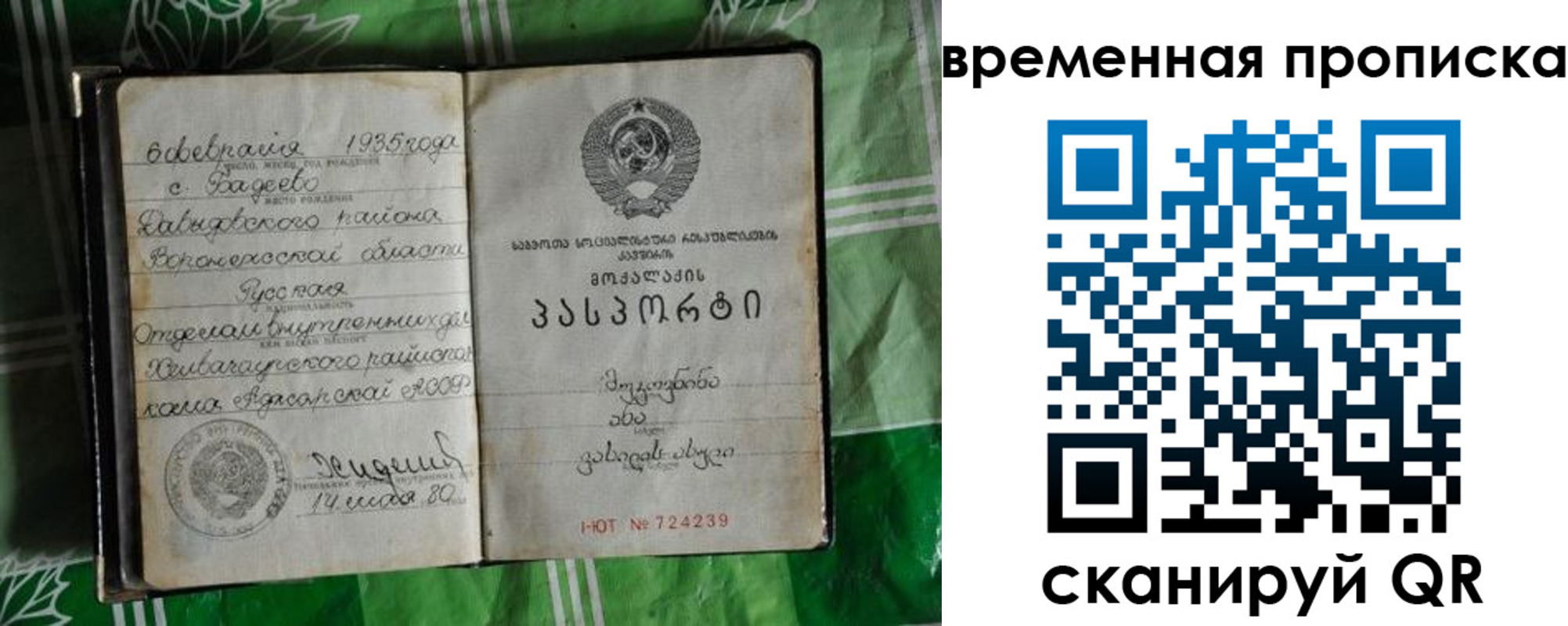 прописка в Щучье